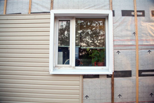 Best Vinyl Siding Installation  in Big Le, AK